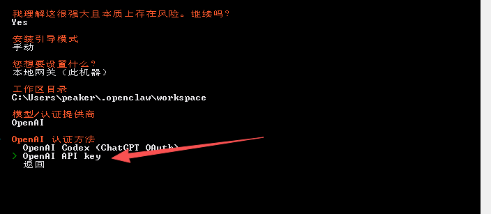 向导 6