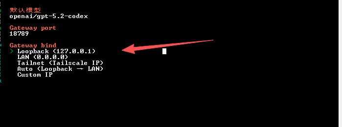 向导 10